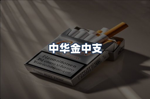 中华金中支